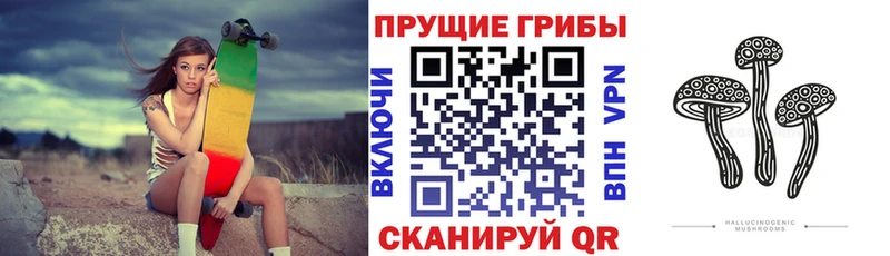 Галлюциногенные грибы GOLDEN TEACHER где купить Касимов