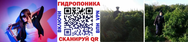 Каннабис план  Касимов 